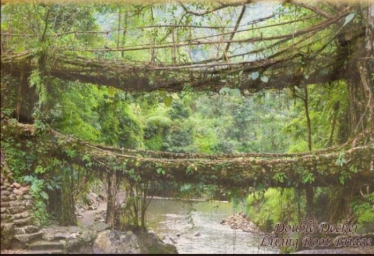 Living Roots Lodge เชร์ราปุนจี ภายนอก รูปภาพ