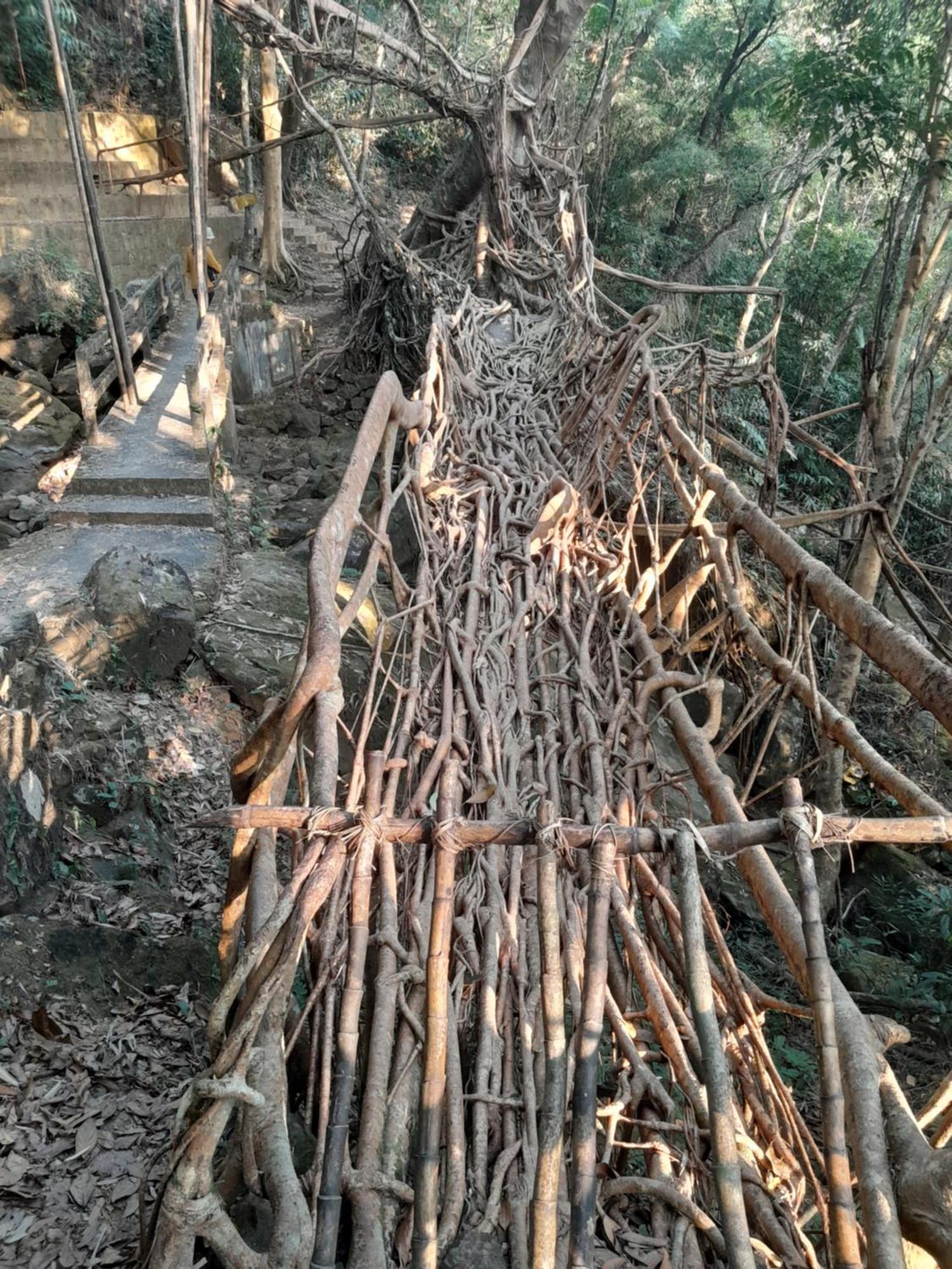 Living Roots Lodge เชร์ราปุนจี ภายนอก รูปภาพ