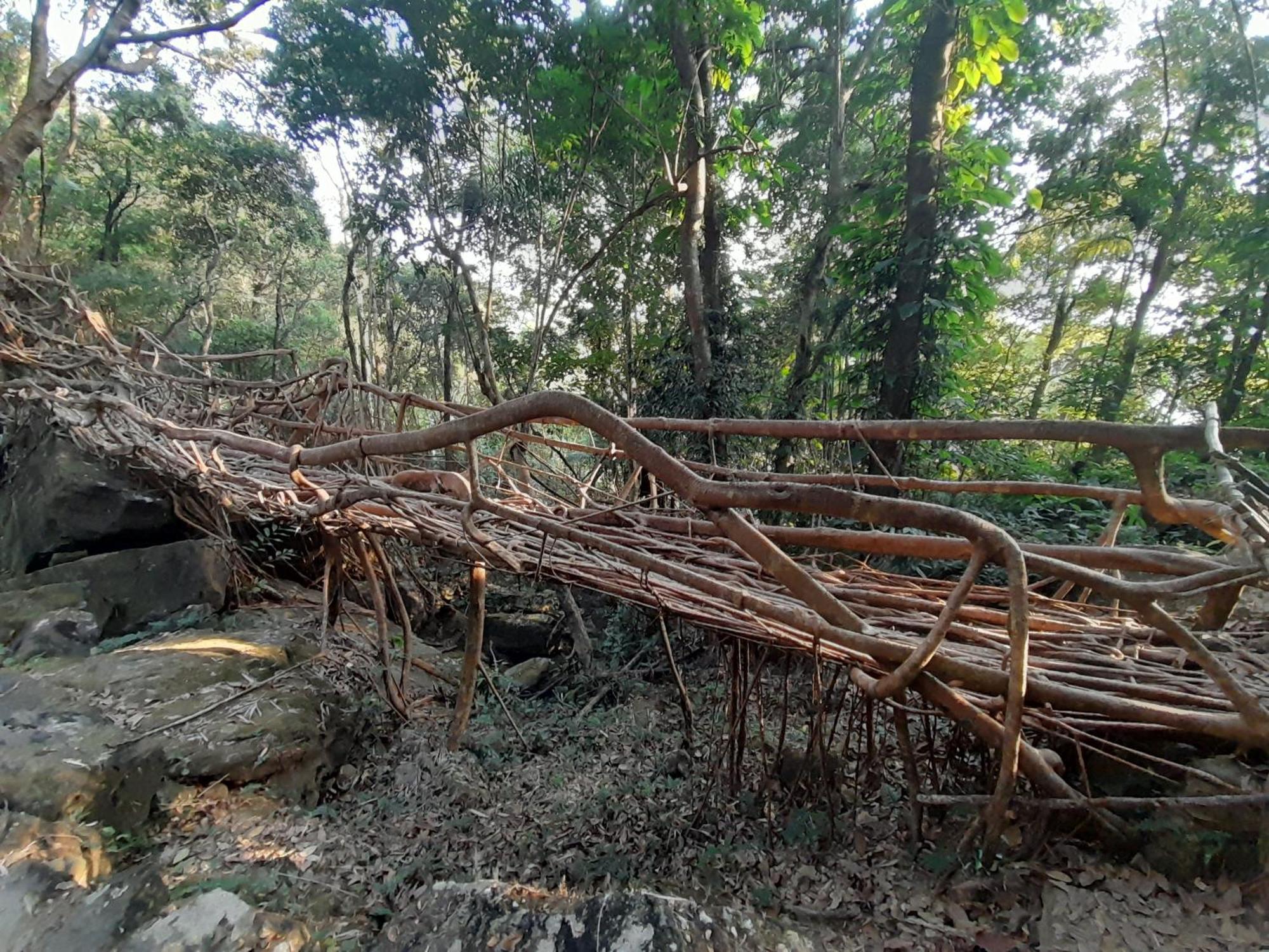 Living Roots Lodge เชร์ราปุนจี ภายนอก รูปภาพ